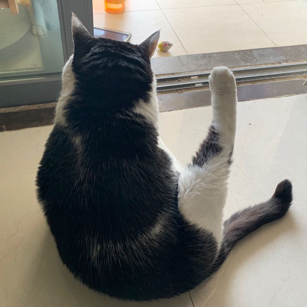 陈陌扉